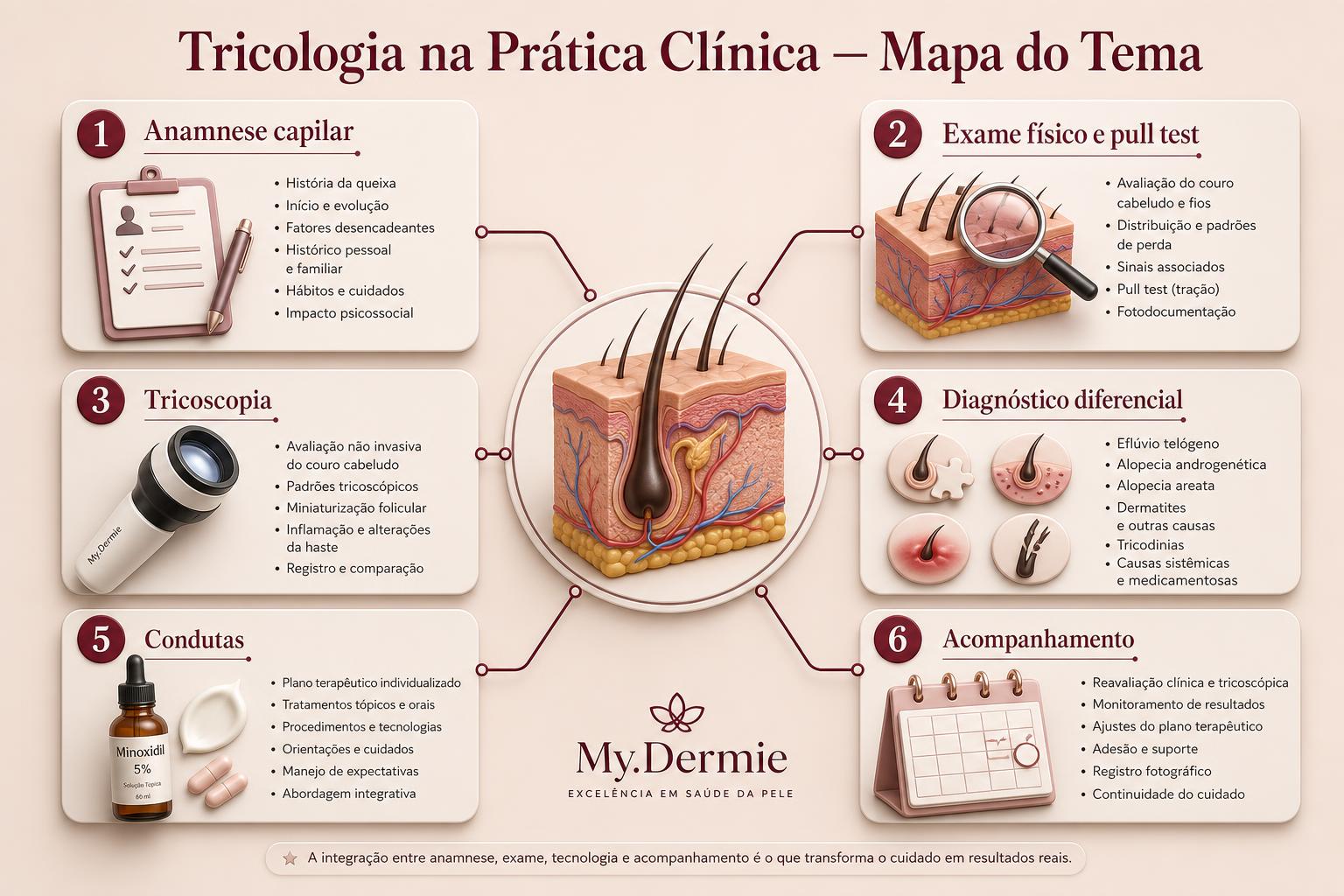 Prancha mapa do tema da apostila Tricologia na Prática Clínica