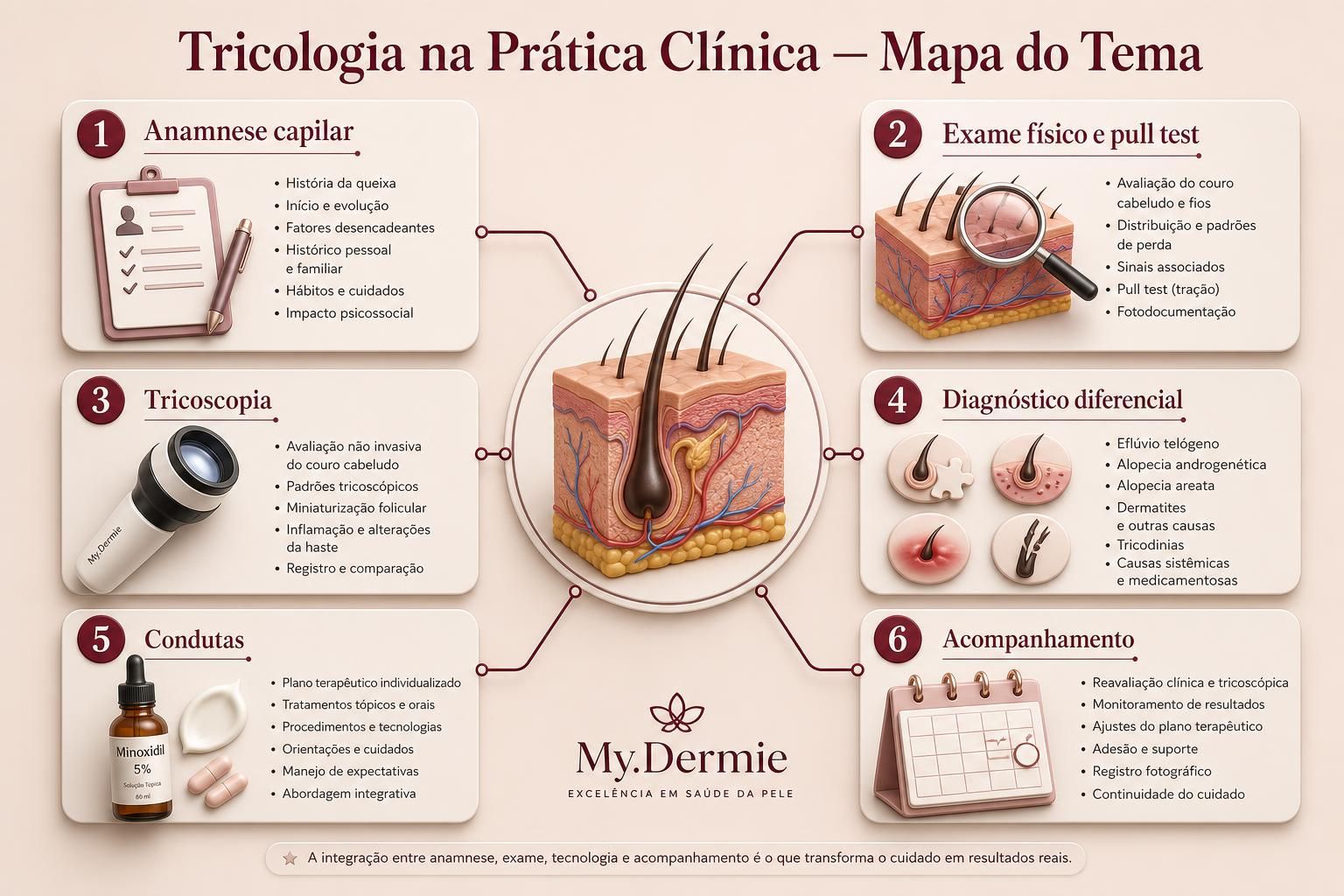 Prancha mapa do tema da apostila Tricologia na Prática Clínica
